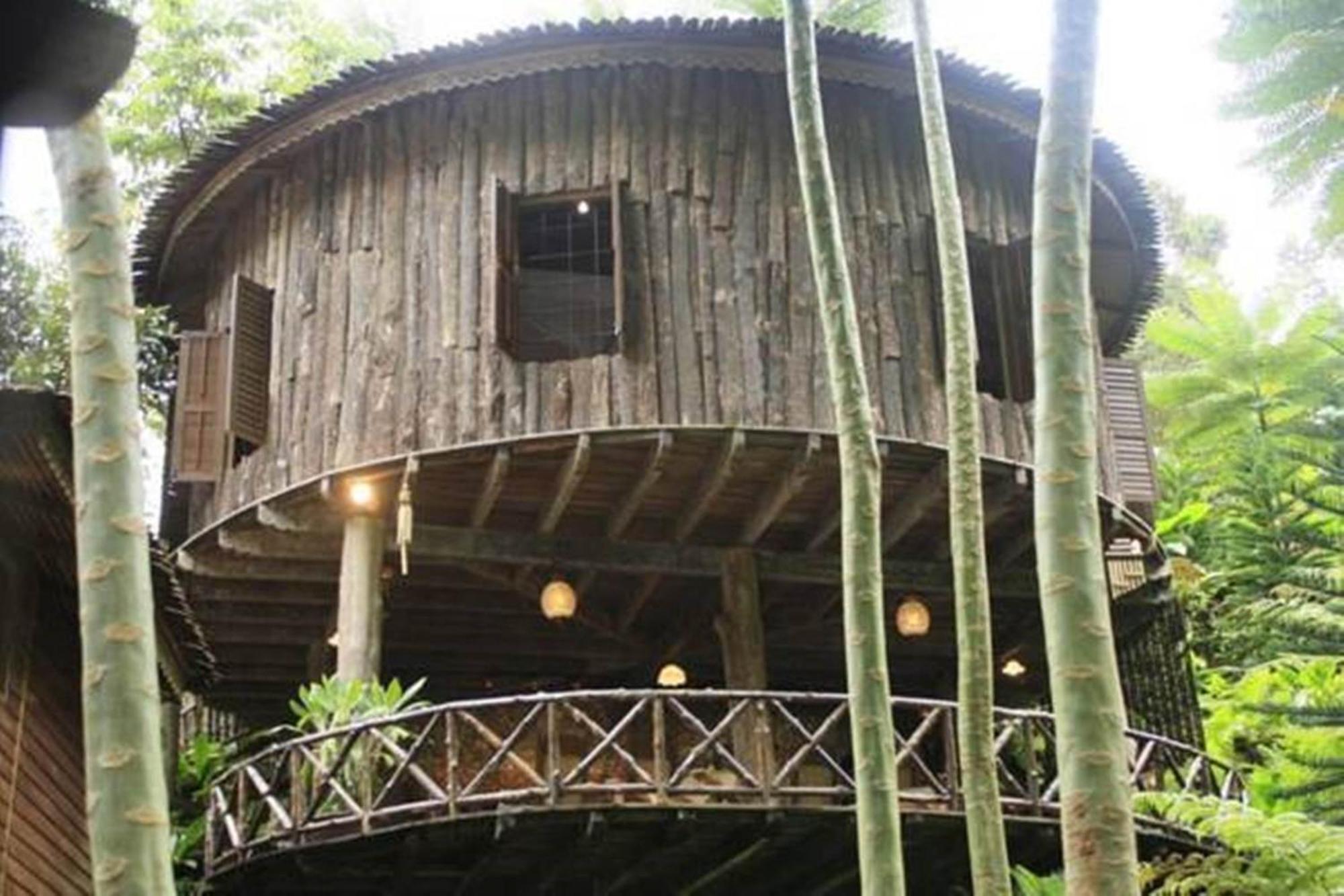 Fig Tree Hills Resort Баян Лепас Стая снимка