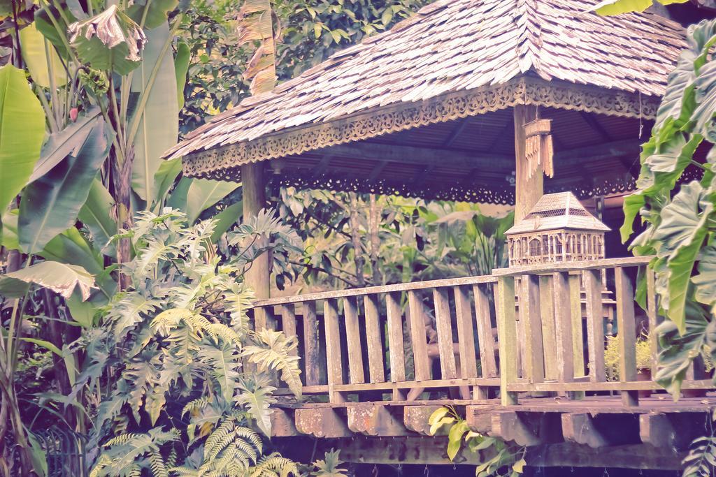 Fig Tree Hills Resort Баян Лепас Екстериор снимка